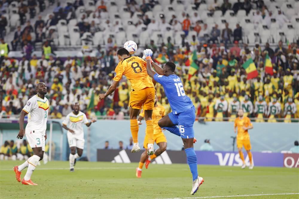 Cody Gakpo kopt Oranje voorbij Senegal; image source: Pro Shots